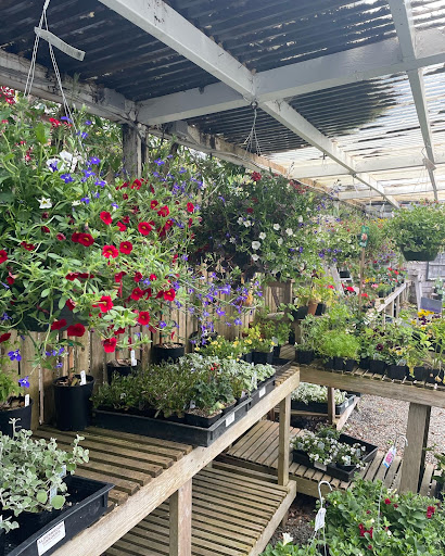 Florist «The Natural Nook Flower Shop», reviews and photos, 738 Pacific Way, Gearhart, OR 97138, USA