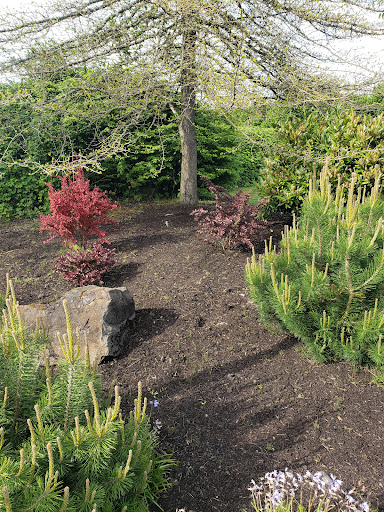 Country Club «Shadow Hills Country Club», reviews and photos, 92512 River Rd, Junction City, OR 97448, USA