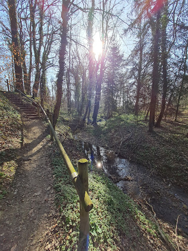 Parking du sentier découverte du Fichtag - Allschwil