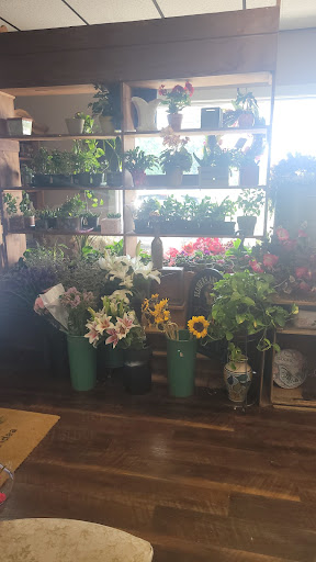 Florist «Barnes House Of Flowers», reviews and photos, 866 N Colony Rd, Wallingford, CT 06492, USA