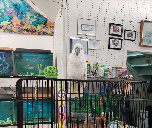 7 Seas Pet Care Center, 13311 S Brandon Ave, Chicago, IL 60633, USA, 