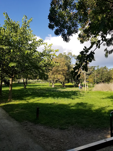 Parc de la Buzine