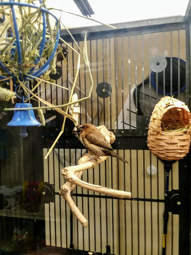 Pet Supply Store «PetSmart», reviews and photos, 1020 Veterans Pkwy #900, Clarksville, IN 47129, USA