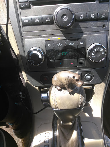 Thrift Store «Goodwill Port St. Lucie West Store & Donation Center», reviews and photos