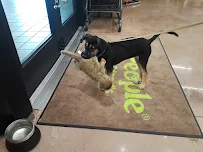 Hollywood Feed - Car repair in Naples, FL, Bonita Springs - Rated 4.9/5