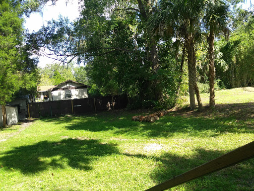 Grocery Store «Save-A-Lot», reviews and photos, 204 SE US Hwy 19, Crystal River, FL 34429, USA