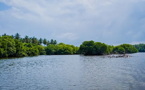 Chilaw Lagoon image