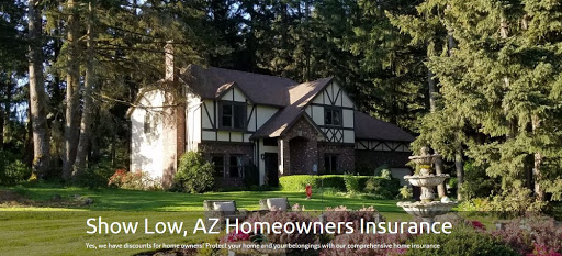 Insurance Agency «Farmers Insurance - Daryl Seymore», reviews and photos