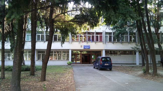 Liceul Artei „Ion Vidu” - Școală