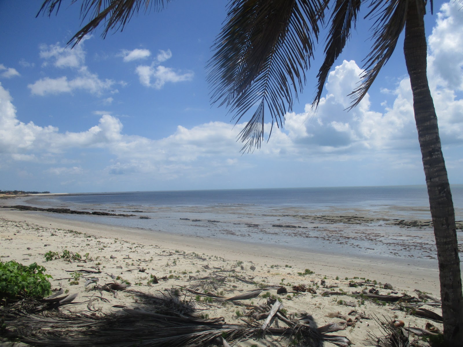 Praia do Sardim的照片 带有碧绿色纯水表面