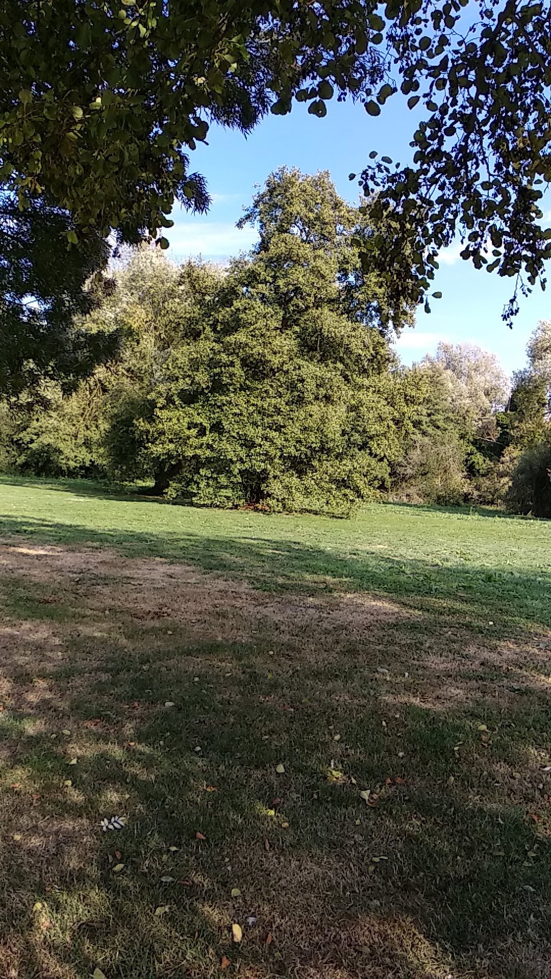 Photo n° 30 de l'avis de Timotée.r fait le 06/10/2018 à 13:14