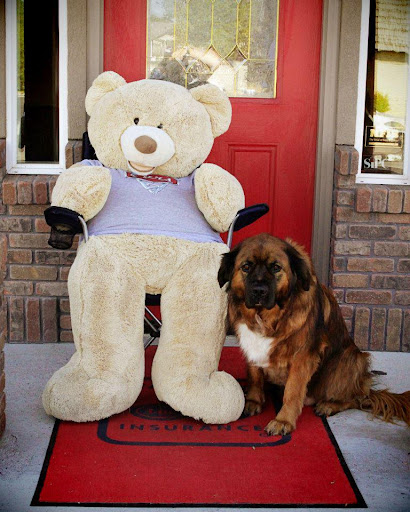 Insurance Agency «Tammy Sluder - State Farm Insurance Agent», reviews and photos