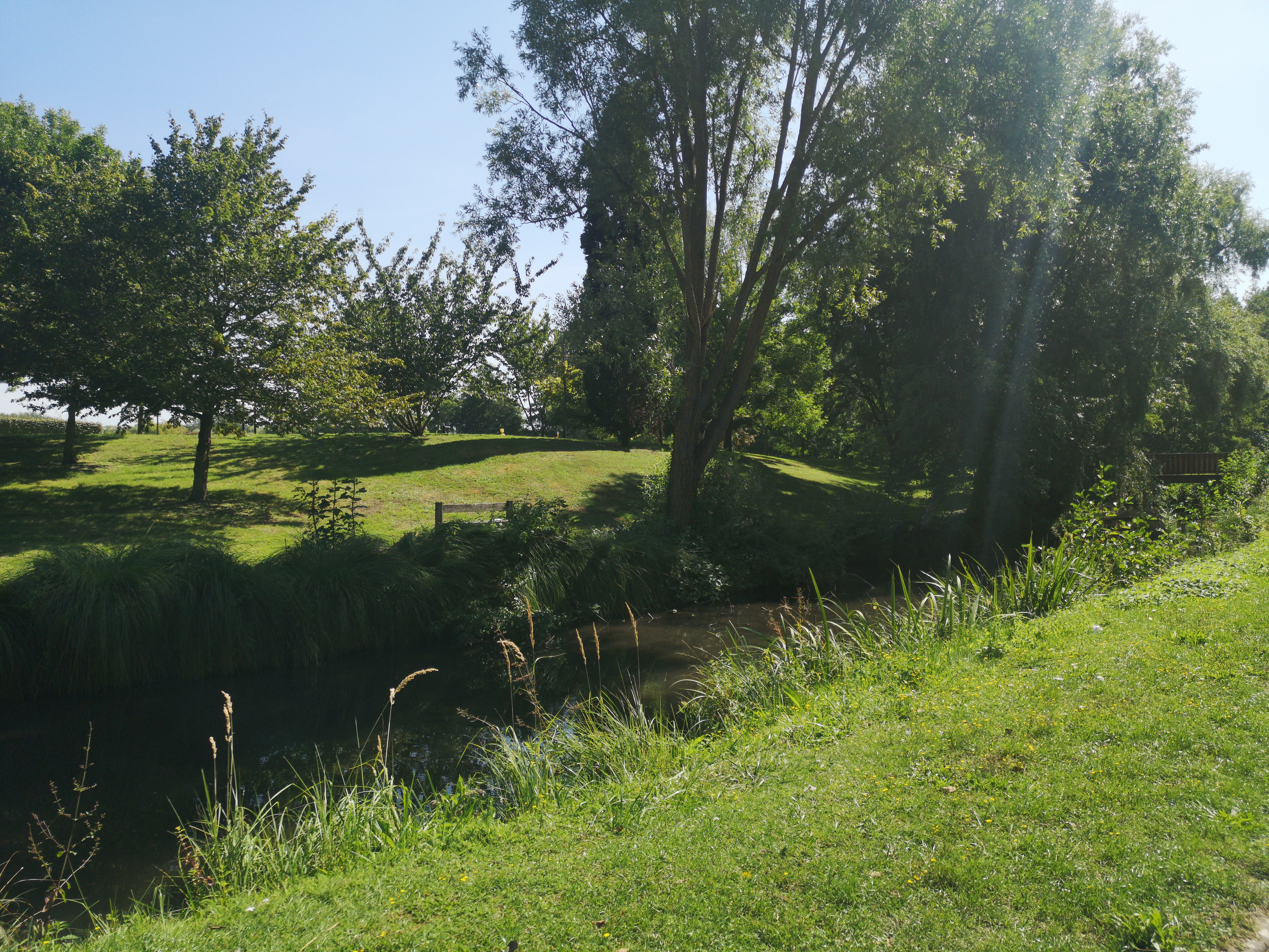 Photo n° 1 de l'avis de Cora.i fait le 22/08/2019 à 14:34