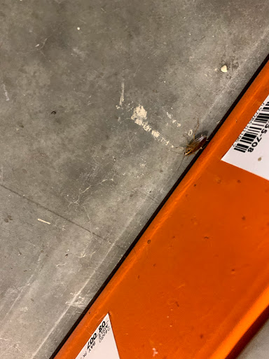 Home Improvement Store «The Home Depot», reviews and photos, 300 Thruway Plaza Dr, Cheektowaga, NY 14225, USA