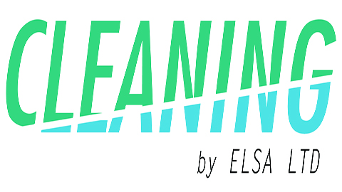 Cleaning by Elsa