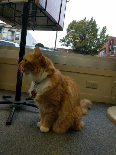 Book Store «The Book Bin», reviews and photos, 450 Court St NE, Salem, OR 97301, USA