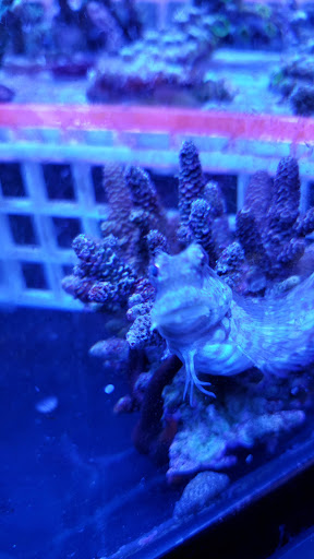 Pet Store «Fin-N-Feather», reviews and photos, 2931 F St, Eureka, CA 95501, USA