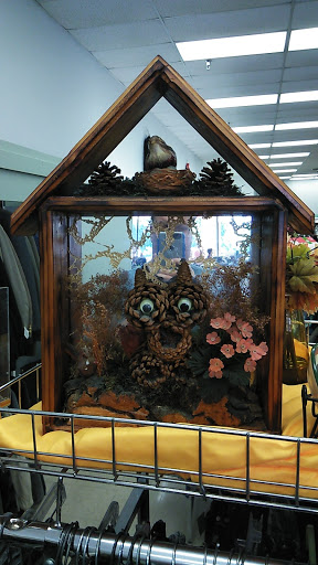 Thrift Store «Goodwill», reviews and photos, 1577 N Nova Rd, Holly Hill, FL 32117, USA