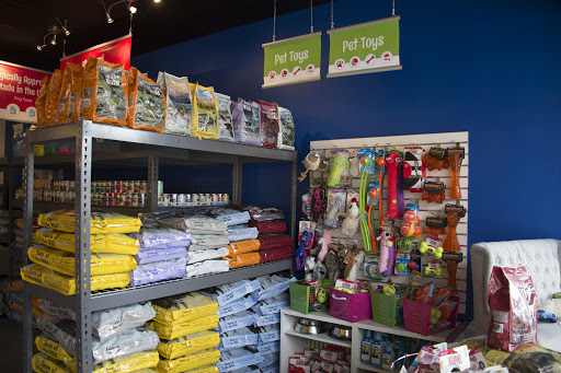 Pet Groomer «Splash and Dash Groomerie & Boutique», reviews and photos, 224 Peachtree East Shopping Center, Peachtree City, GA 30269, USA