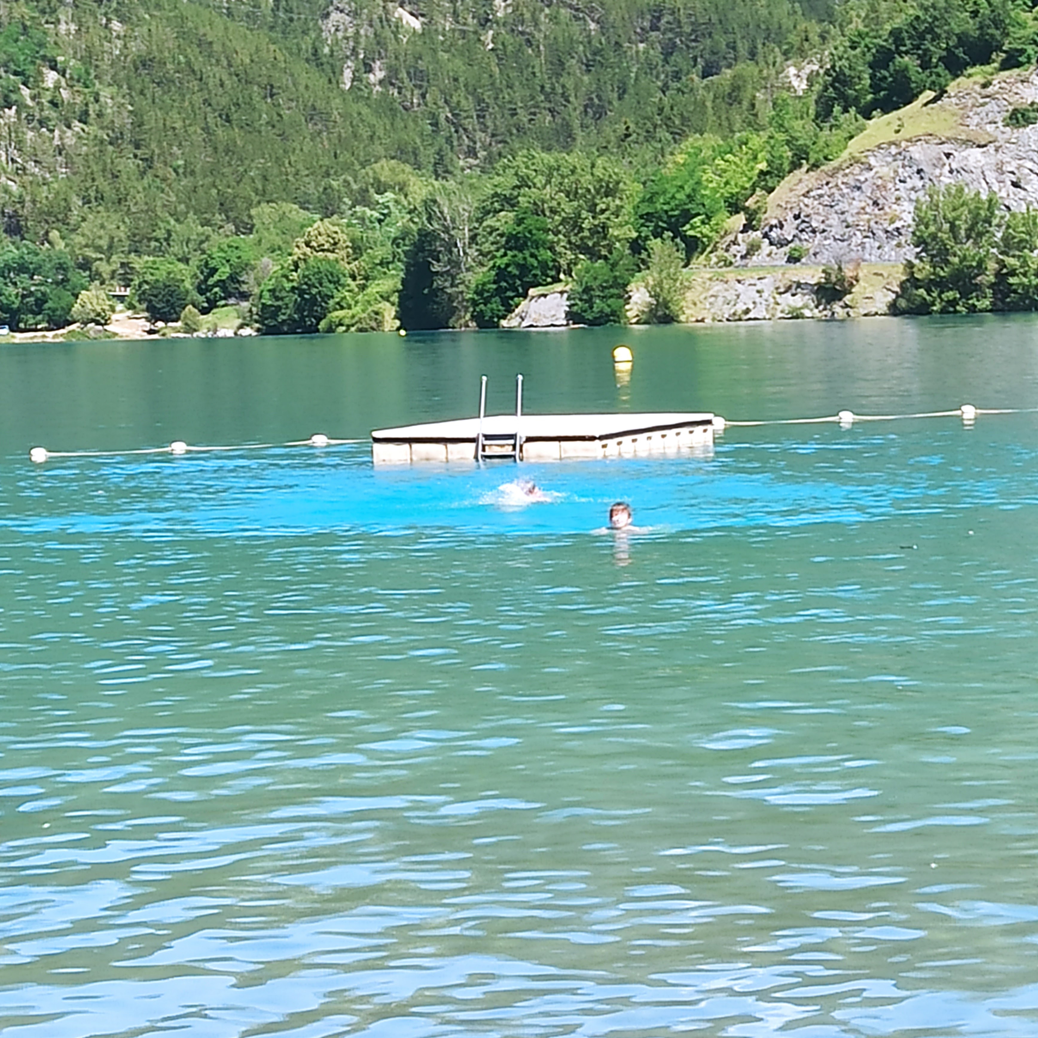 Photo n° 6 de l'avis de Garfield. fait le 10/07/2021 à 13:23