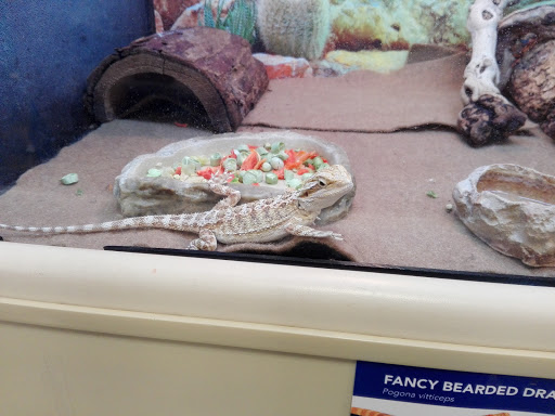 Pet Supply Store «PetSmart», reviews and photos, 190 Rt 10 West, East Hanover, NJ 07936, USA