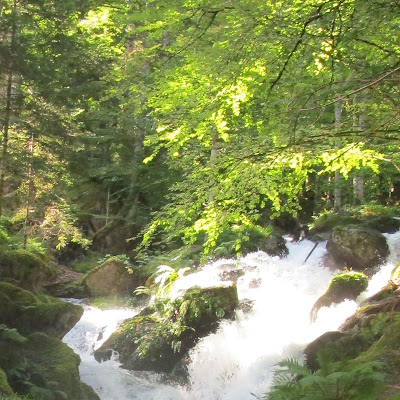 Courreges Genevieve à Aureilhan