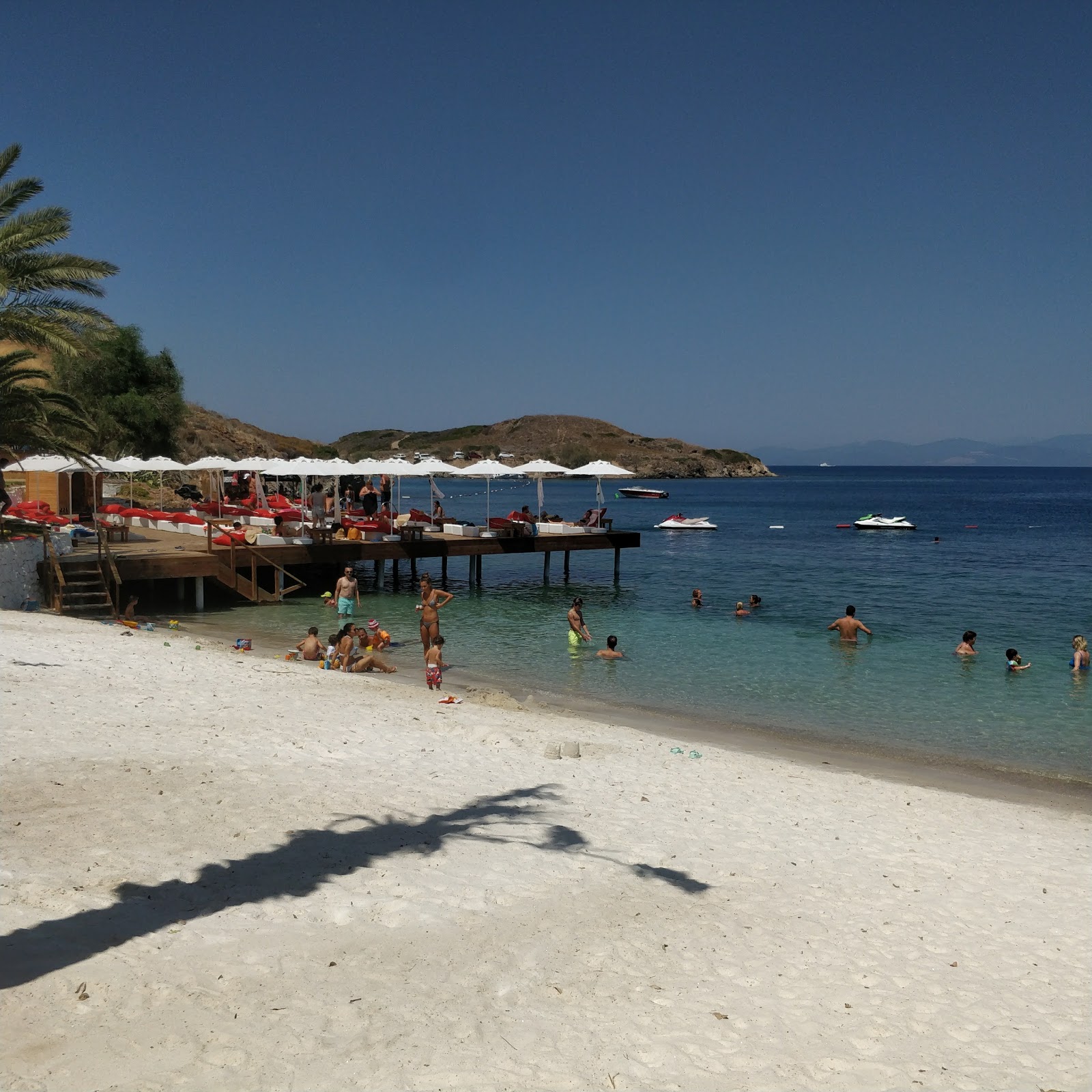 Dodo Beach photo #6