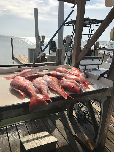 Explore meaningful elegant spine tattoo ideas, creative tattoo ideas in South Padre Island, available at Peggys Temporary & Permanent Tattoos