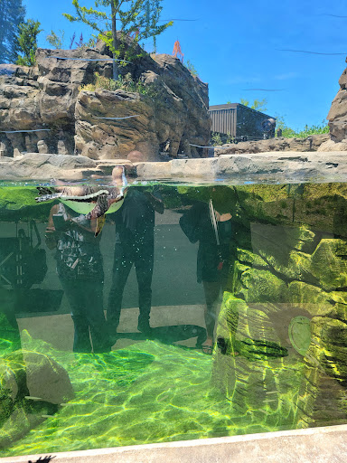Zoo «Mesker Park Zoo», reviews and photos, 1545 Mesker Park Dr, Evansville, IN 47720, USA