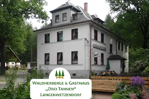 Waldherberge & Gasthaus "Drei Tannen" - Hendrich Jacqueline image