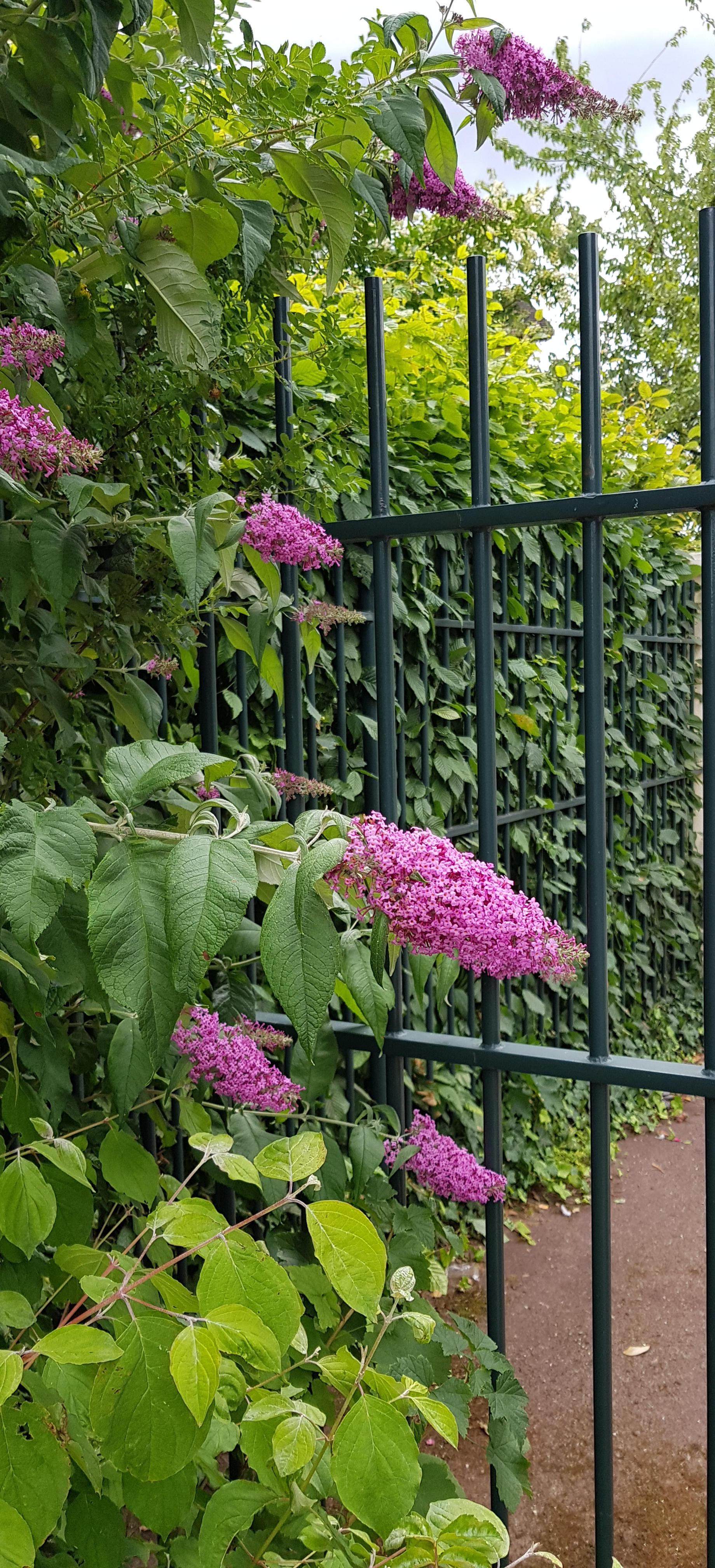 Photo n° 1 de l'avis de claude.i fait le 27/07/2019 à 16:07