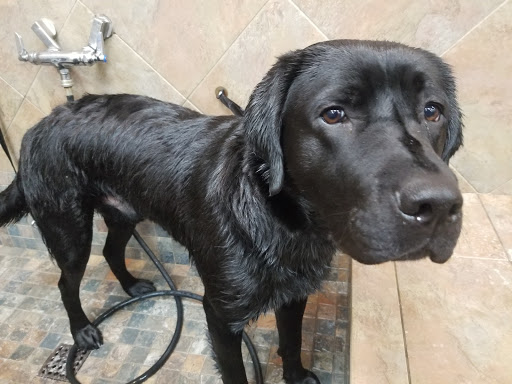 Pet Supply Store «Pet Supplies Plus», reviews and photos, 2600 McFarland Blvd E U, Tuscaloosa, AL 35405, USA