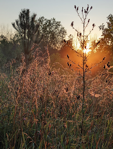 Park «Lake Elmo Park Reserve», reviews and photos, 1515 Keats Ave N, Lake Elmo, MN 55042, USA