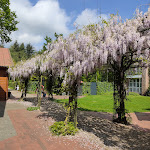 Photo n°1 de l'avis de Sabine.e fait le 10/05/2024 à 15:45 sur le  Hotel Heidegrund à Garrel