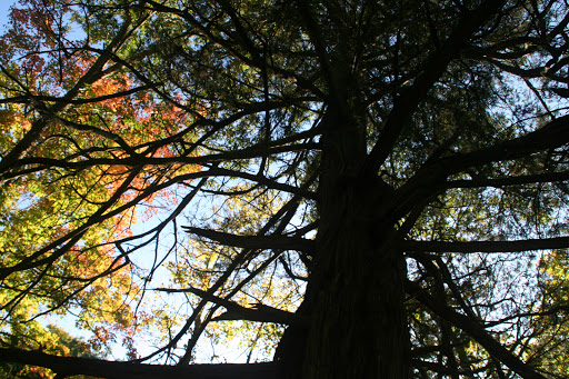 Nature Preserve «Caesar Creek Gorge State Nature Preserve», reviews and photos, 4080 Corwin Rd, Oregonia, OH 45054, USA