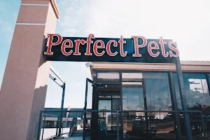 Perfect Pets image