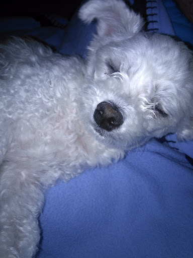 1201 17th St, Tuscaloosa, AL 35401, USA