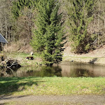 Photo n°1 de l'avis de Anett.o fait le 14/04/2023 à 10:18 sur le  Waldhaus Wolfsbachmühle à Braunlage