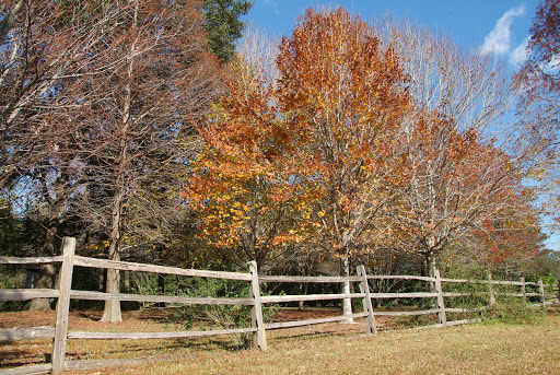 Museum «Burden Museum & Gardens», reviews and photos, 4560 Essen Ln, Baton Rouge, LA 70809, USA