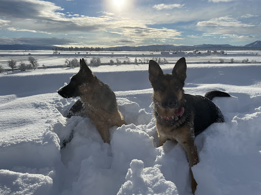 Employment Agency «MedPro Healthcare Staffing», reviews and photos, 1580 Sawgrass Corporate Pkwy #200, Sunrise, FL 33323, USA