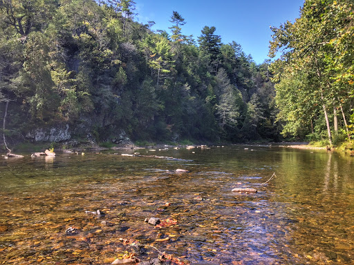 Fishing Store «Albemarle Angler», reviews and photos, 1129 Emmet St N, Charlottesville, VA 22903, USA
