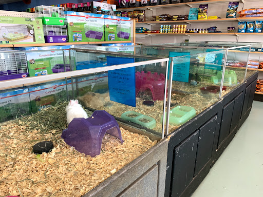 Pet Store «Wet Pets N Critters», reviews and photos, 103 TX-281 Loop, Longview, TX 75605, USA