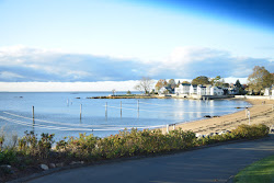 Hotchkiss Grove Beach'in fotoğrafı biraz temiz temizlik seviyesi ile