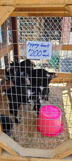 Animal Feed Store «Farmers Feed & Pet Supply», reviews and photos, 1302 E Miner Ave, Stockton, CA 95205, USA