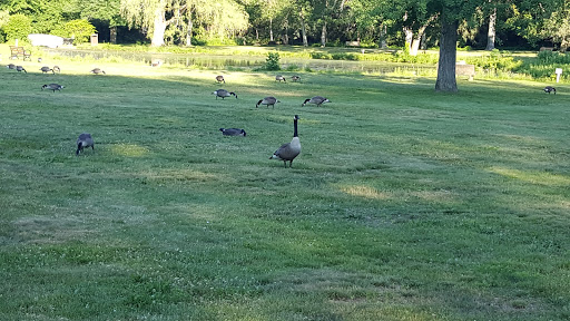 Park «Francis William Bird Park», reviews and photos, 251 Washington St, East Walpole, MA 02032, USA