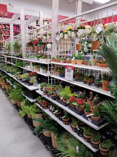 Craft Store «Michaels», reviews and photos, 2800 Plainfield Rd, Joliet, IL 60435, USA