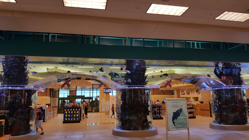 Sporting Goods Store «SCHEELS», reviews and photos, 6503 W 135th St, Overland Park, KS 66223, USA