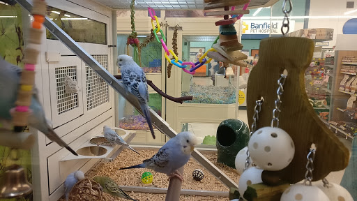 Pet Supply Store «PetSmart», reviews and photos, 70 Worcester-Providence Turnpike #240, Millbury, MA 01527, USA