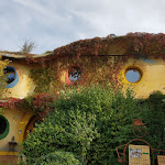 Photo n°5 de l'avis de Wolfgang.c fait le 23/09/2020 à 15:48 sur le  Weingut Försterhof (Restaurant) à Bad Neuenahr-Ahrweiler