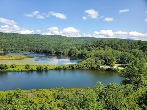 Environmental Organization «VINS Nature Center», reviews and photos, 6565 Woodstock Rd, Quechee, VT 05059, USA